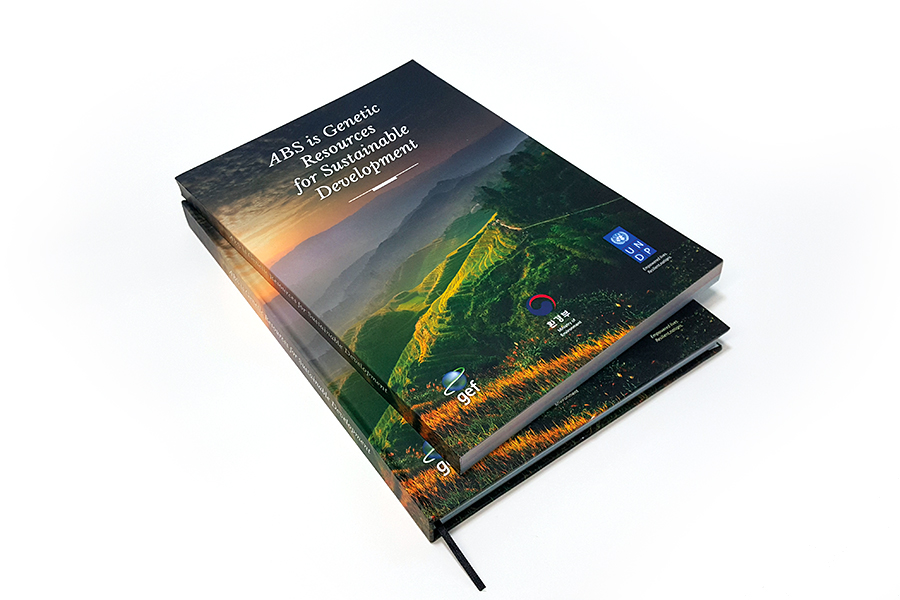 Kitap